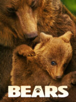 Bears