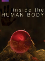 Inside the Human Body