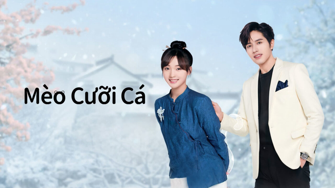 Mèo Cưỡi Cá Mèo Cưỡi Cá