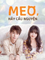 Meo, Hãy Cầu Nguyện