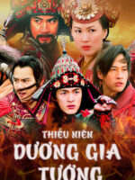 Thiếu Niên Dương Gia Tướng
